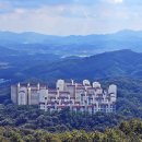 취암산 Daum카페
