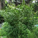 친한농장 이미지