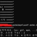 클립/움짤따개들을 위한 동영상 변환기(mp4, gif 등) 이미지