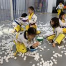 버드내 태권도 이미지