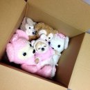 해솔김밥 | 내 게으름이 멈추지 않는 탓일까? ㅜ.ㅜ.oO