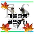 에프와이에스 골프 이미지