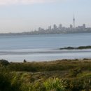 씨티타워 이미지