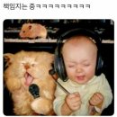 우리메탈 이미지