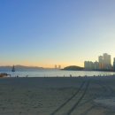 샘라이언해운대 이미지