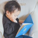 베베담이 이미지