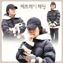 쿤디자인