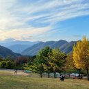 선화목장 이미지