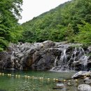 그레이트 짐 온천장 PT&헬스 이미지