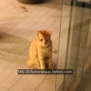 아미부띠끄호텔 이미지