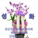 1구역 [2/23(목) 이승석장로(박영미권사)님 가정큰형님 이광석님께서 별세 하셨습니다] 이미지