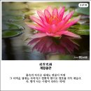 지혜상사 이미지