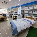 엘르 | 천안 신혼이불 혼수이불 백화점보다 저렴한곳(엘르천안성정점)
