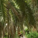 까르마 풀빌라 2 이미지