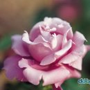 곡성농산물판매장 이미지