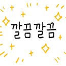 떡보의하루햇살머믄꼬마김밥