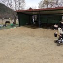 개나리목장 이미지