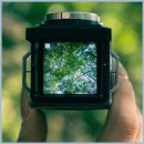 복고풍 | 작고 가벼운 복고풍 디지털카메라 1주일 사용 후기와 입문용으로 딱 좋은 이유