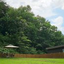 두지네 윗집 이미지