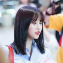 샤론 이미지