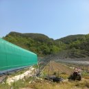 미천면-2 이미지