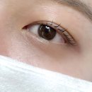 동광로7길 62 | [방배속눈썹] 그린다뷰티 : 서울 노글루 속눈썹펌 후기