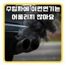 디피에프 이미지