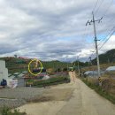 바람개비 이미지