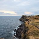 송악산 숲길 이미지