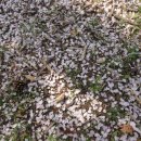 여객선터미널앞 이미지