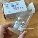 [국제부부 시험관]07 동탄 마리아 시험관 1차 처방 정리 | 박슬기 선생님 실후기