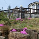 횡성리버뷰펜션 이미지