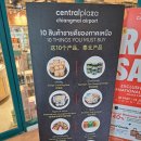 센트럴프라자 | 치앙마이 공항 주변 센트럴 플라자 푸드코트 맛집 후기 개구리라고?