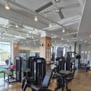 369피트니스 이미지