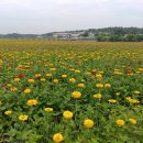 위천부분정비 이미지