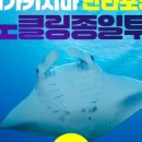 만타