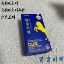 [숙취해소효소/간보호제/숙취해소제 솔직후기] 말술비책