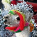 대지의축복