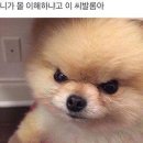 같이 이미지