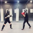 엑스퍼트짐 가산점 이미지