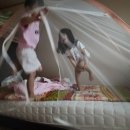 대천우리의원 | 6살 아이와 한여름 보령 여행