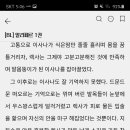 알리페르