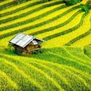 위브탑공인중개사사무소 이미지