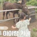 부영목장 이미지