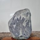 공룡민박 이미지