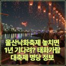 태화전기 - 안동시 태화중앙로 94 | 울산낙화축제 놓치면 1년 기다려야? 태화가람대축제 명당정보