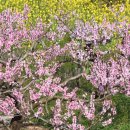 웅천 소류지 이미지