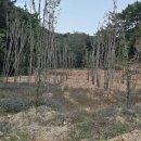 수곡농장 이미지