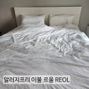 신혼침구 추천 REOL 르올 알러지프리 무봉제 카이화이트 K사이즈 한 달 후기 내돈내산 가성비 최고