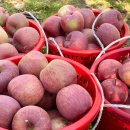 부계면사무소 이미지